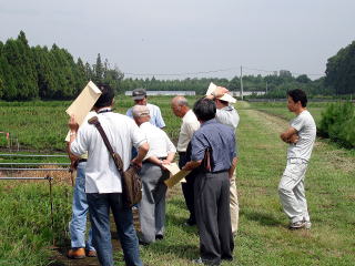 20080822_大分_苗畑