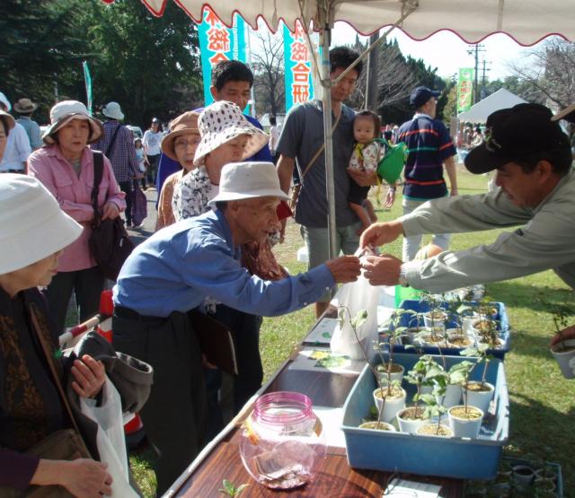 20081018_一般公開_苗木