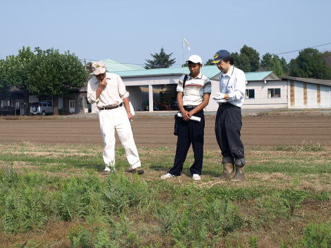 20081023_ミャンマー_苗畑