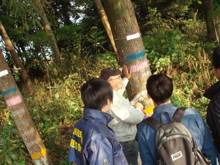 20081117_管理局_ピロディン