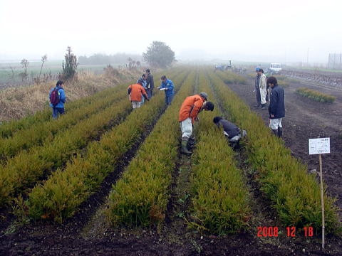 20081218_苗畑合同_苗畑全景