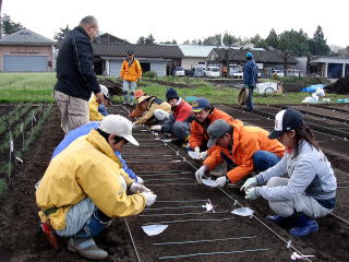 20090325_まきつけ_バラまき