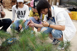 20090724_柏陵_接種