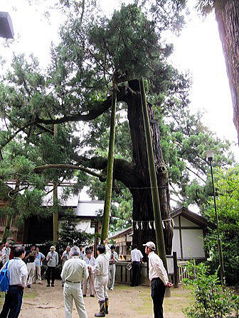 20100709_地区協_綾杉_2