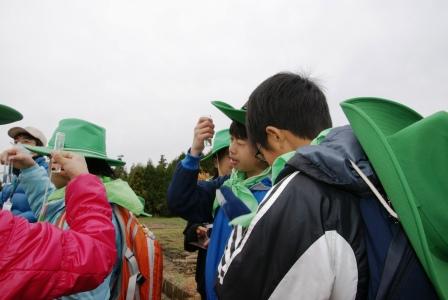 20101128_熊本市_抵抗性_1