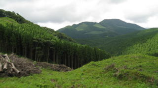 20110722_地区協_国有林