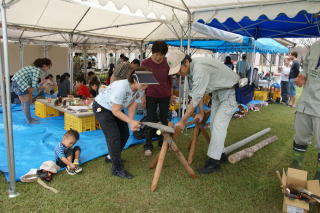 20111018_一般_丸太
