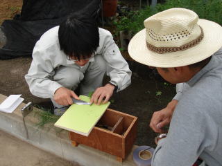 20111025_研修_つぎ木