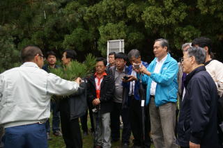 20111027_韓国_マツ交配園
