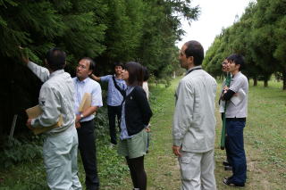 20111102_鹿児島_花粉