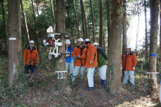 20120208_枝打ち_機械
