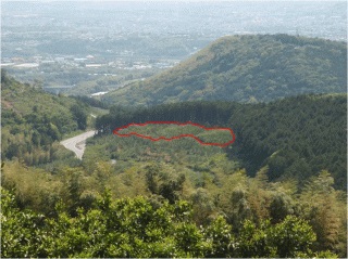 20120208_成果発表_遠景