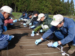 20120322_まきつけ_まきつけ