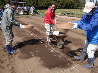 20120322_まきつけ_土ふるい