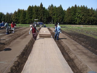 20120322_まきつけ_ローラー