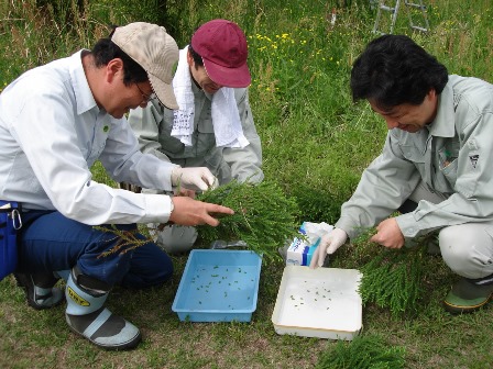 20120515dna_採取