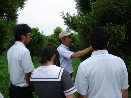 20120810八代_スギさし