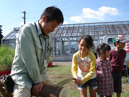 20121030一般公開_丸太切り
