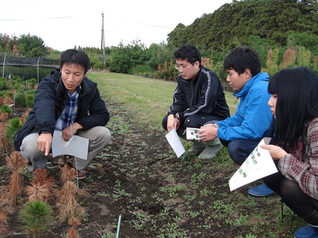 20131114_九大_苗畑