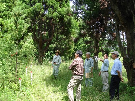 20140530_田島山業_場内