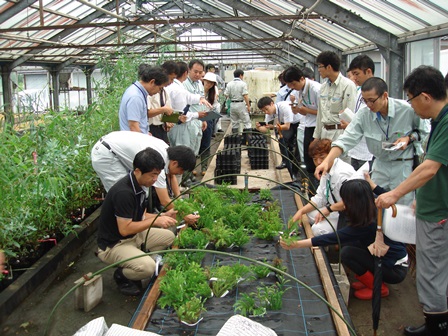 20140904_ブロック会議_温室