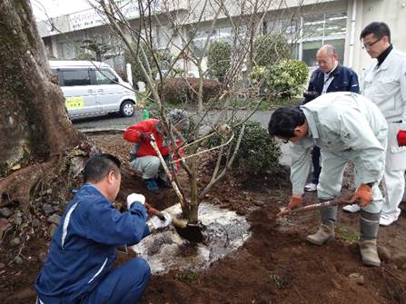20150225_相生_植栽