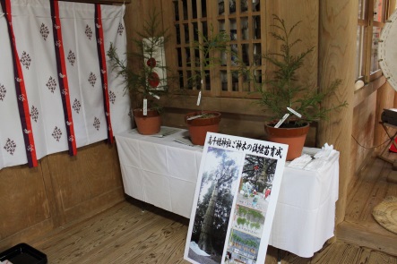 image20