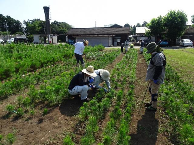接種作業中