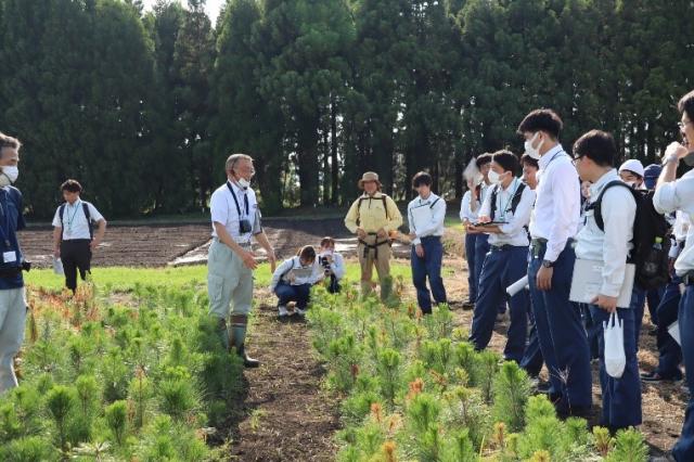 写真（センチュウ接種試験）