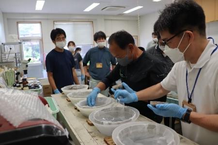 洗い出し作業