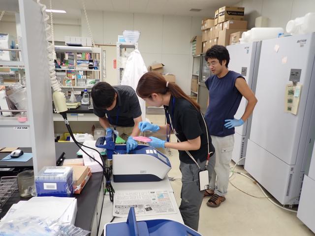 PCR