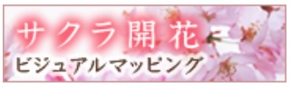 sakuraV
