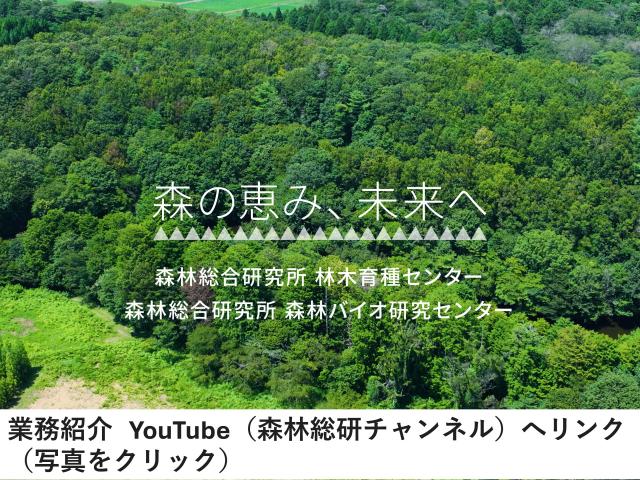 YouTube林木育種センター業務紹介映像