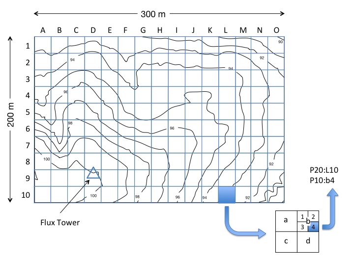 plot layouts