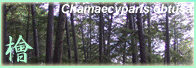 Hinoki databases