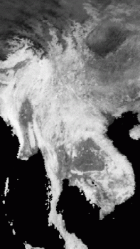 DS_02.GIF