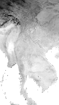 DS_11.GIF