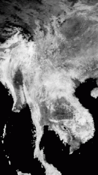 DS_29.GIF