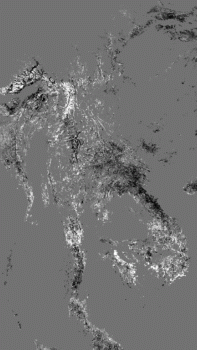 DS_41.GIF