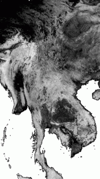DS_42.GIF