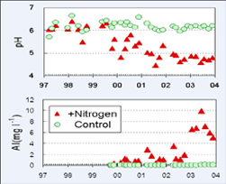 Changes in soil solution chemistry by nitrogen application