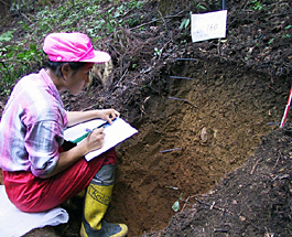 soil description