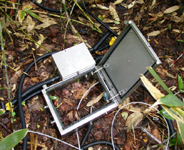 soil respiration 