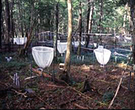 Litter traps