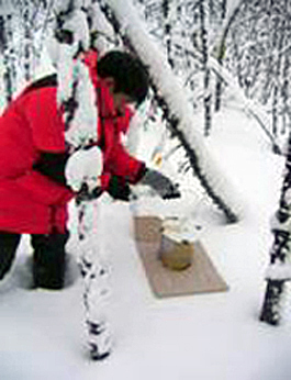 snow surface
