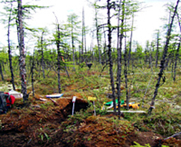 East Siberia