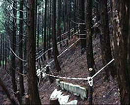 soil erosion
