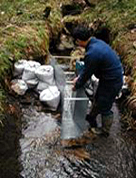 stream water flow