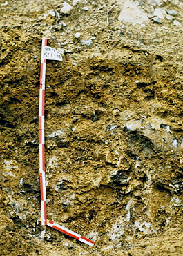 Eroded soil β type (Gunma)