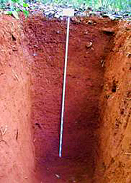 Ferralsols (Cambodia)